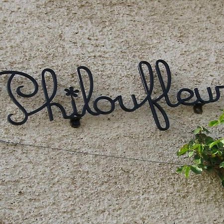 Philoufleur - Gite Restaure En Campagne Chaneins Exterior photo
